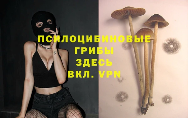 мескалин Алексин