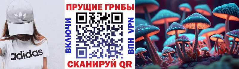 Галлюциногенные грибы мицелий  закладки  OMG ССЫЛКА  Алдан 
